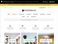 Desktop screenshot for purrfectlyyappy.com