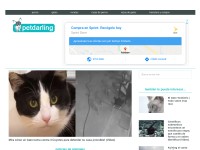 Desktop screenshot for petdarling.com