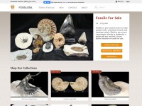 Desktop screenshot for fossilera.com