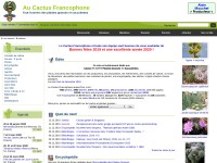Desktop screenshot for cactuspro.com