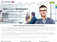 Desktop screenshot for hiddenbrains.co.uk