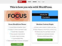 Desktop screenshot for diythemes.com