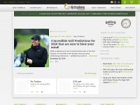 Desktop screenshot for 4moles.com