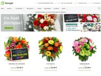 Desktop screenshot for florajet.com