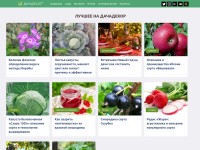 Desktop screenshot for dachadecor.ru