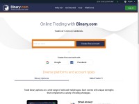 Desktop screenshot for binaryws.com