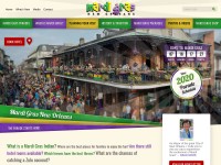 Desktop screenshot for mardigrasneworleans.com