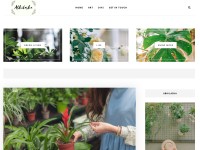 Desktop screenshot for abhilashayadav.com