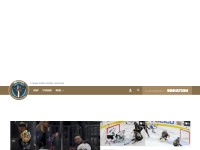 Desktop screenshot for knightsonice.com