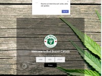 Desktop screenshot for budbeaver.ca