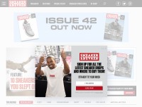 Desktop screenshot for sneakerfreaker.com