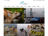 Desktop screenshot for topdogtips.com