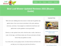 Desktop screenshot for leaf-blower.net