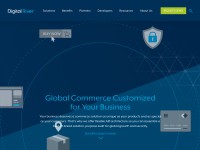 Desktop screenshot for digitalriver.com