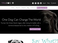 Desktop screenshot for trudog.com