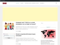 Desktop screenshot for arkadasariyor.com