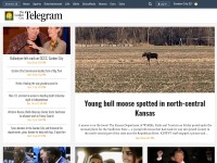 Desktop screenshot for gctelegram.com