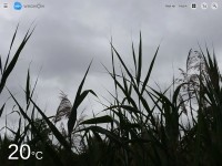 Desktop screenshot for weawow.com