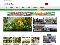 Desktop screenshot for tabloidsinartani.com