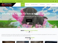 Desktop screenshot for beautifulpugpuppies.com