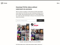 Desktop screenshot for tiktokd.com