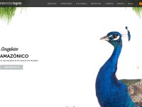 Desktop screenshot for trestristestigres.com