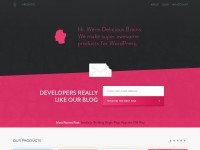 Desktop screenshot for deliciousbrains.com