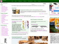 Desktop screenshot for ivyroses.com