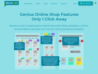 Desktop screenshot for recolize.com