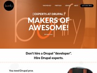 Desktop screenshot for bonify.io