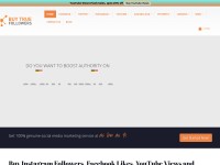 Desktop screenshot for buytruefollowers.com