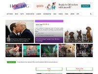 Desktop screenshot for houdig.com