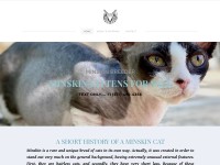 Desktop screenshot for allyminskin.company.com