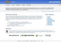 Desktop screenshot for file.net