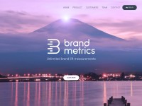 Desktop screenshot for brandmetrics.com