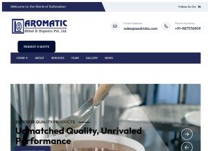 How aaolindia.com looks like on a tablet such as an iPad.