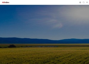 How ab-inbev.com looks like on a tablet such as an iPad.