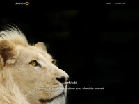 Desktop screenshot for lionmobi.com