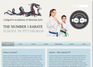 How academyofmartialarts.org looks like on a tablet such as an iPad.