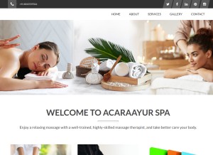 How acaraayur.com looks like on a tablet such as an iPad.