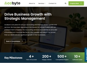 How accbyte.co.uk looks like on a tablet such as an iPad.