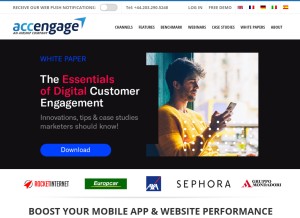How accengage.com looks like on a tablet such as an iPad.