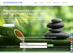 How accessback.com looks like on a tablet such as an iPad.