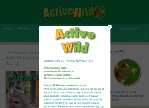 How activewild.com looks like on a tablet such as an iPad.