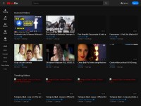 Desktop screenshot for vdofliz.com