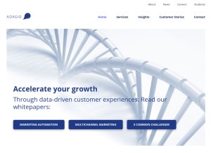 How adagiocreate.com looks like on a tablet such as an iPad.