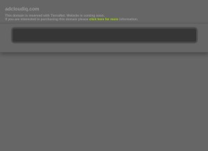 How adcloudiq.com looks like on a tablet such as an iPad.