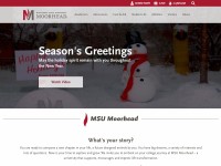 Desktop screenshot for mnstate.edu