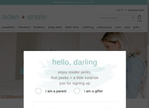 How adenandanais.com looks like on a tablet such as an iPad.