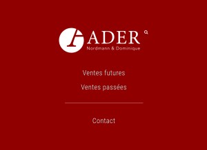 How ader-paris.fr looks like on a tablet such as an iPad.